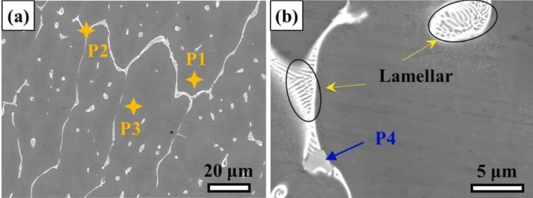 激光电弧复合增材制造Al-Zn-Mg-Cu合金的形成机理:显微组织评价与机械性能
